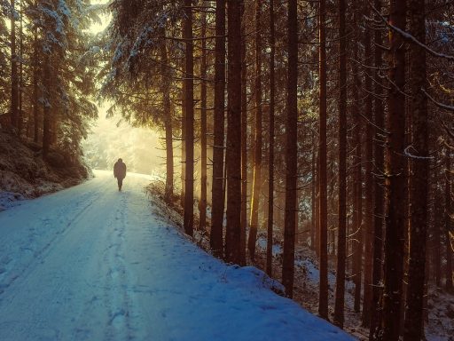 Een persoon van middelbare leeftijd wandelt alleen op een pad door de natuur