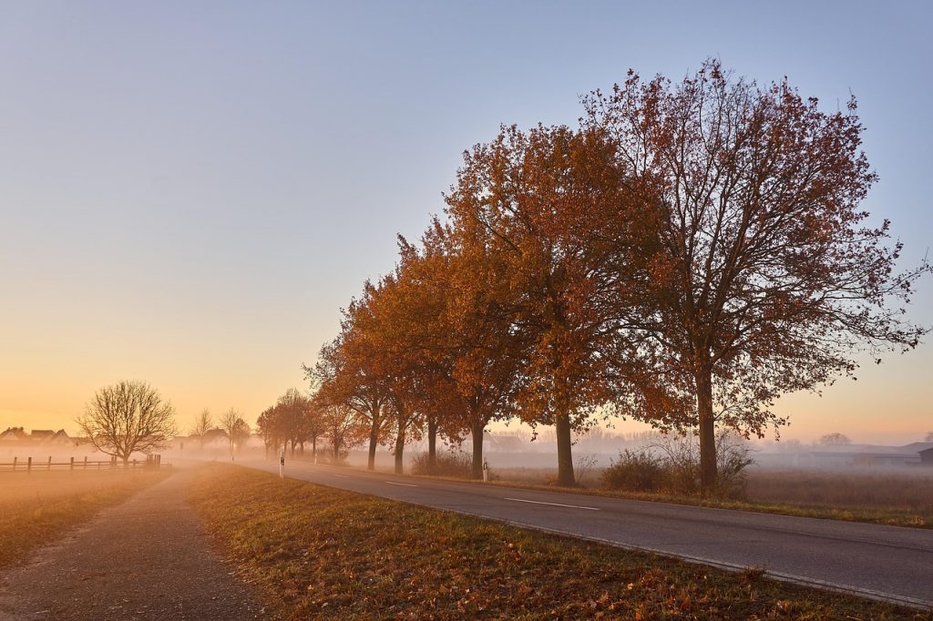 Vrouw die vermoeid wakker wordt op een donkere herfstmorgen