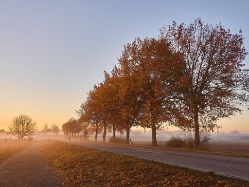 Vrouw die vermoeid wakker wordt op een donkere herfstmorgen