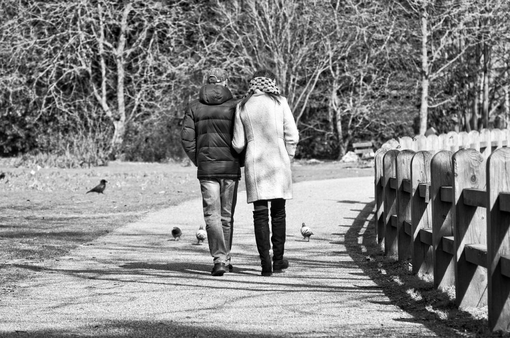 Persoon die wandelt in een park, omgeven door bomen in herfstkleuren