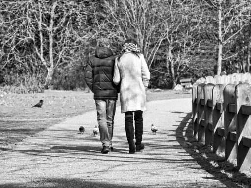 Persoon die wandelt in een park, omgeven door bomen in herfstkleuren