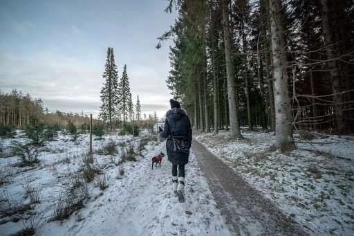 Persoon wandelt op een smal bospad omringd door hoge bomen