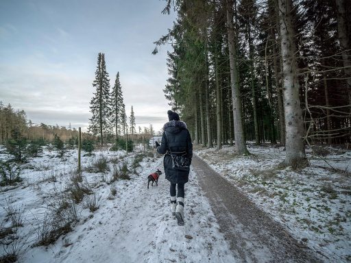 Persoon wandelt op een smal bospad omringd door hoge bomen
